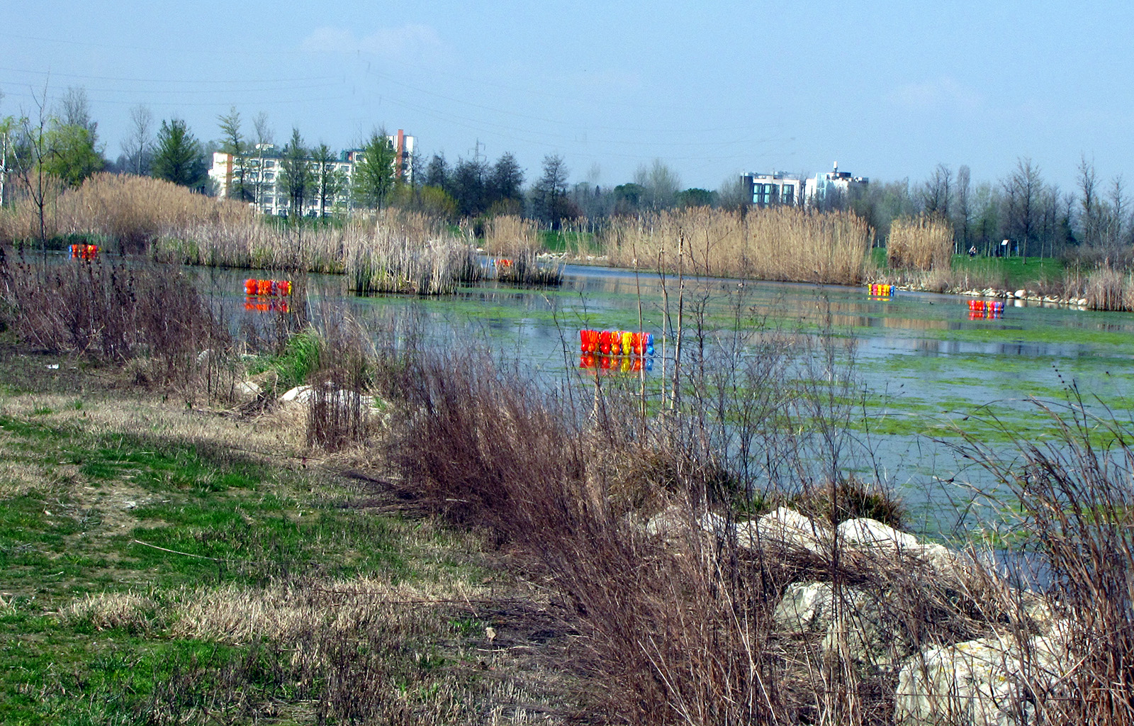portfolio-image