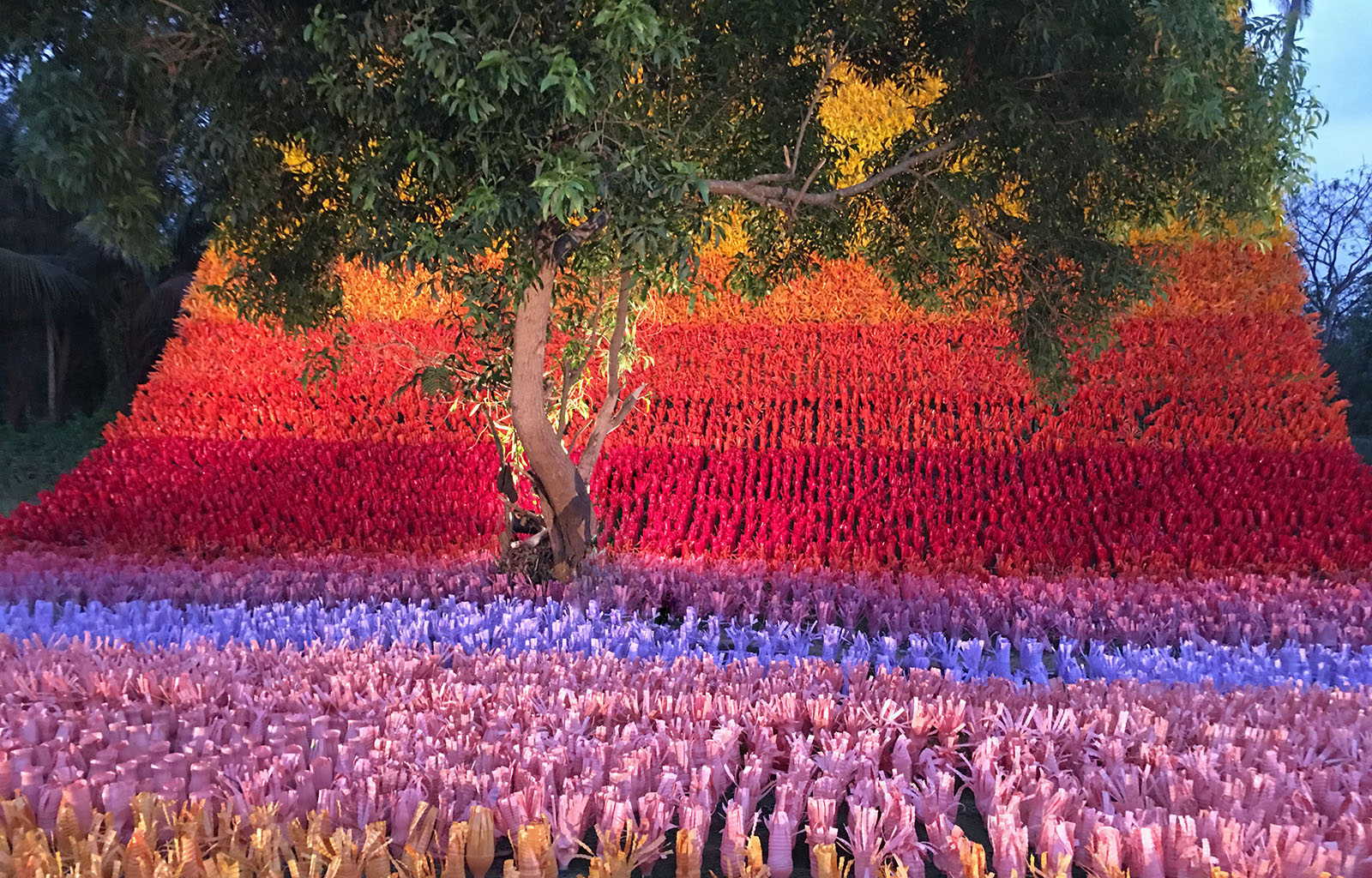 Goa, India – Carpet of JOY