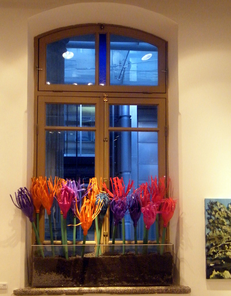 Eco Window Plant