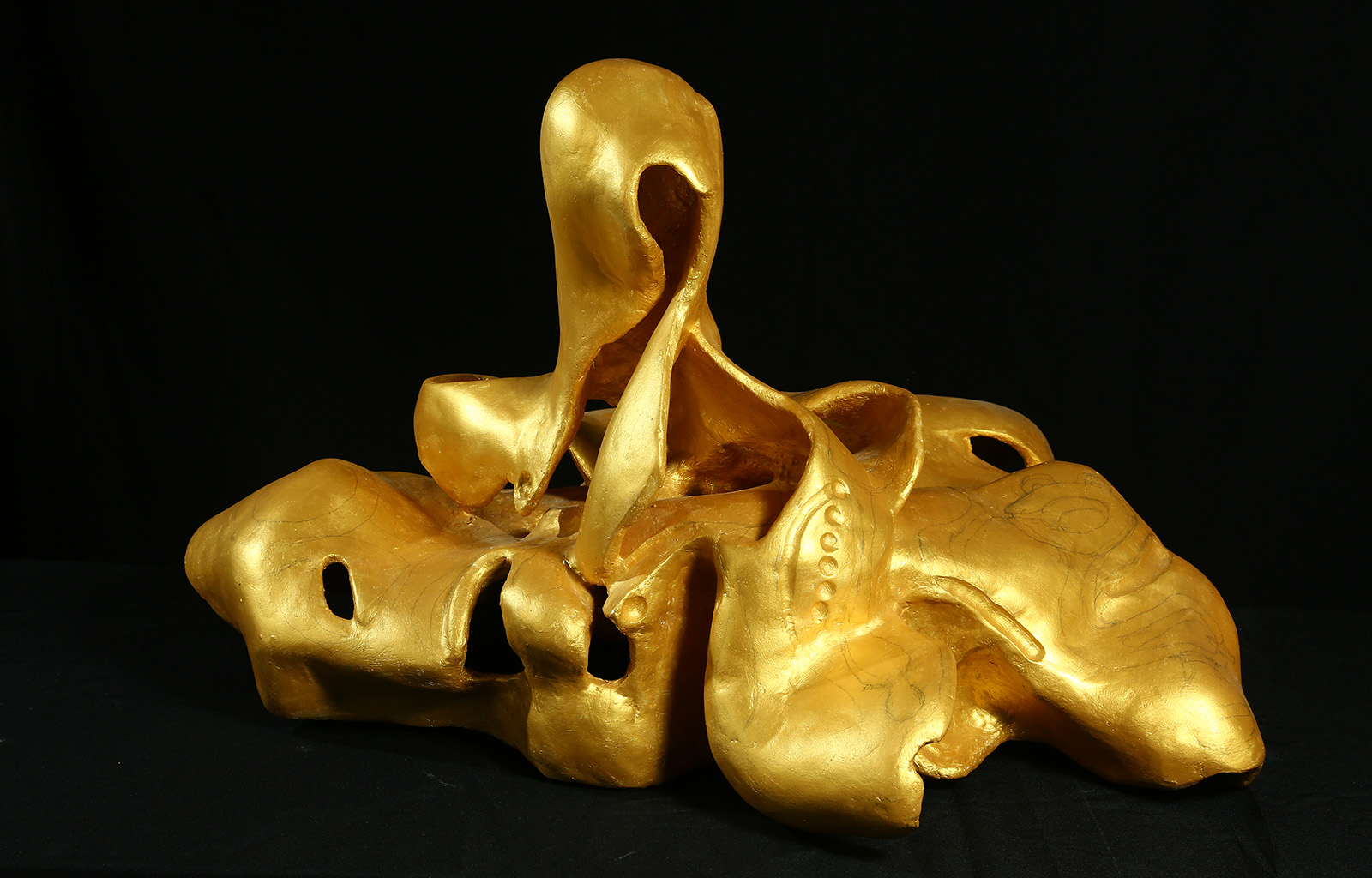 portfolio-image