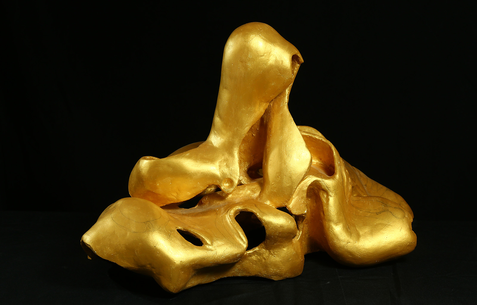 portfolio-image