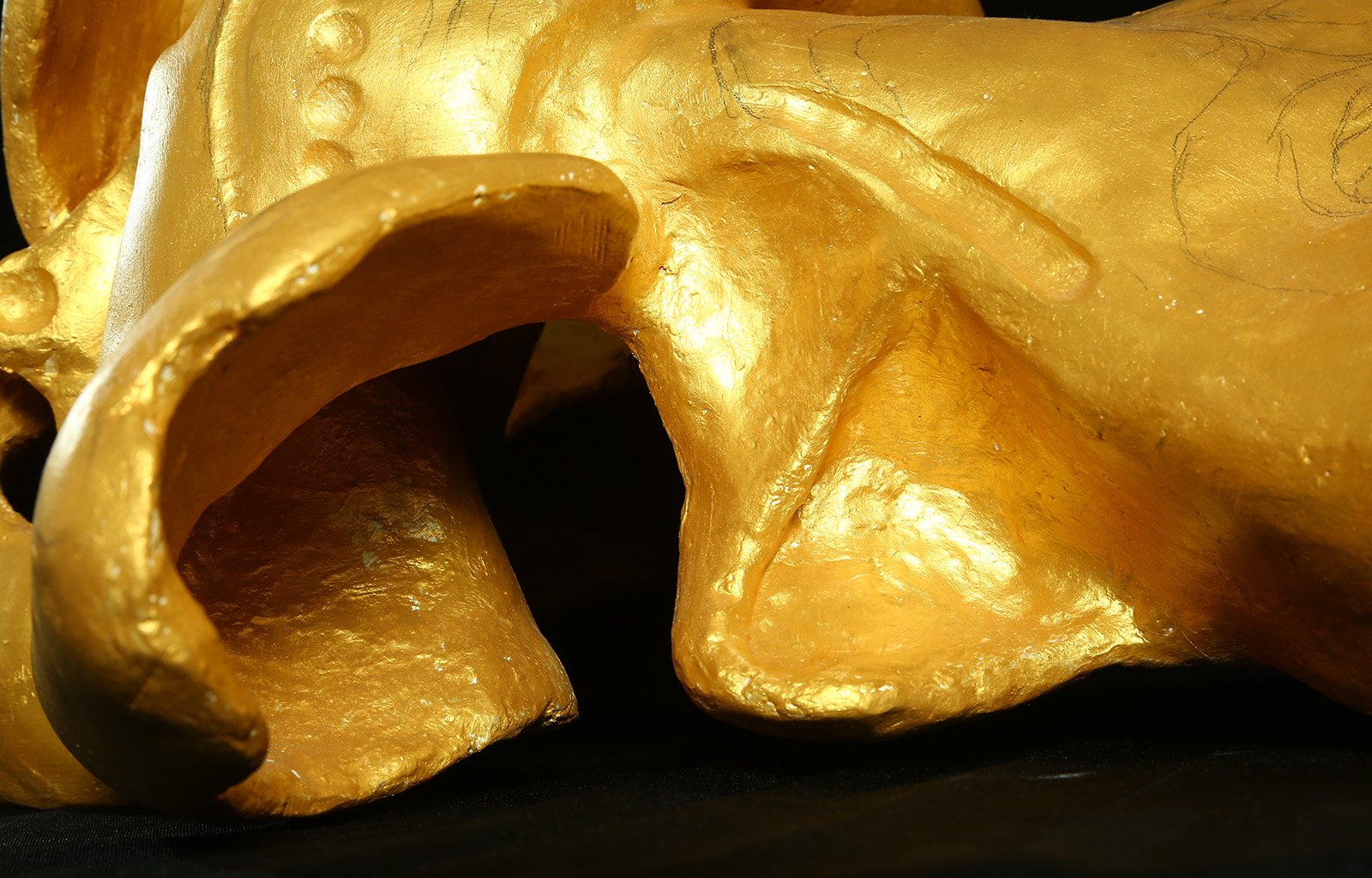 portfolio-image