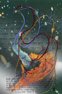 The Cycle of Life Book Page II