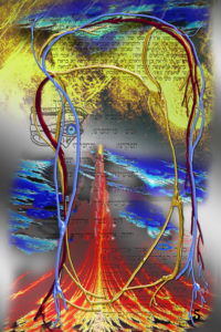 The Cycle of Life Book Page V