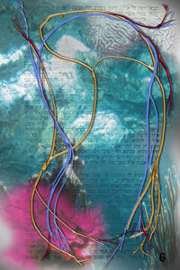 The Cycle of Life Book Page VI