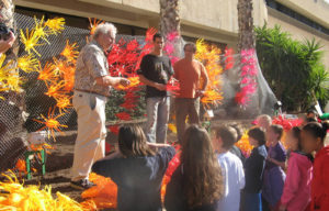Eco Garden - Meir Hospital in Kfar Saba Israel