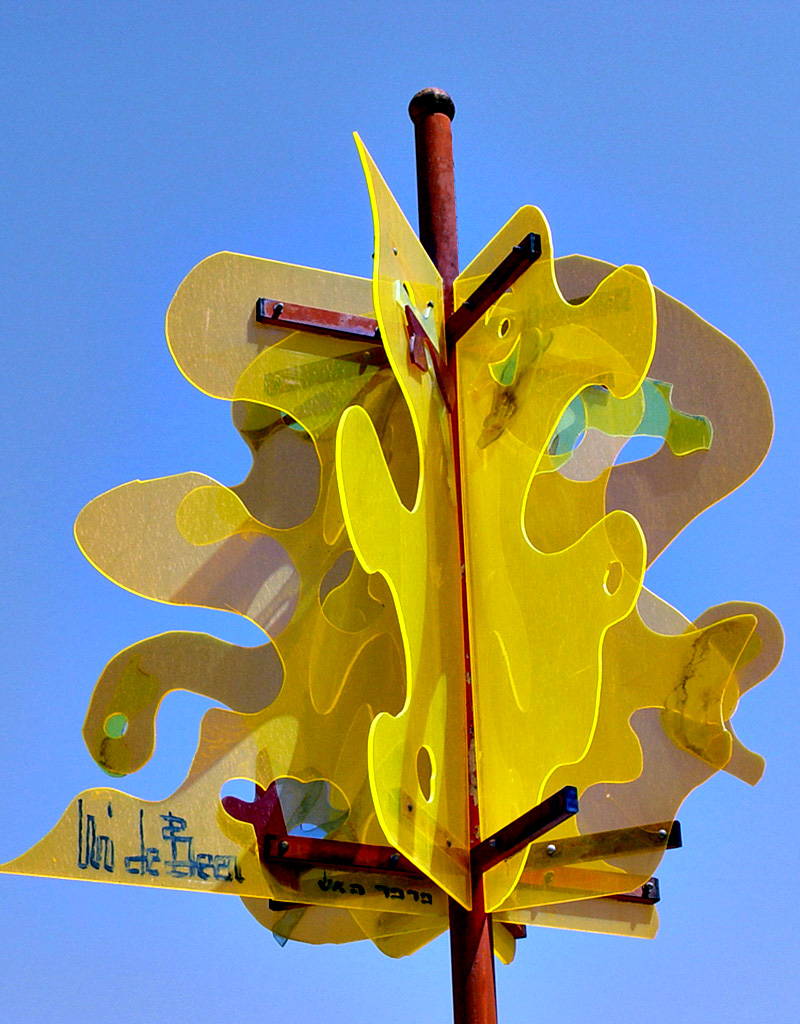 Uri de Beer Sculptures & Plastic Art Fire Butterfly
