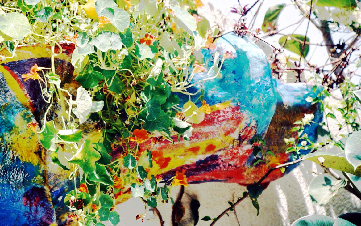 portfolio-image