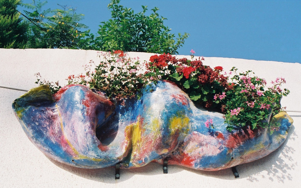 portfolio-image
