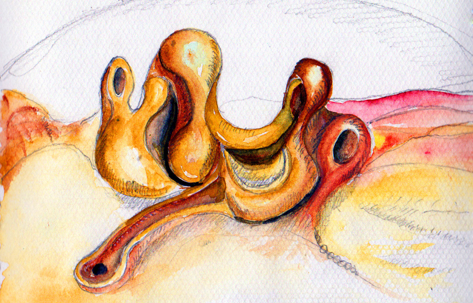 portfolio-image