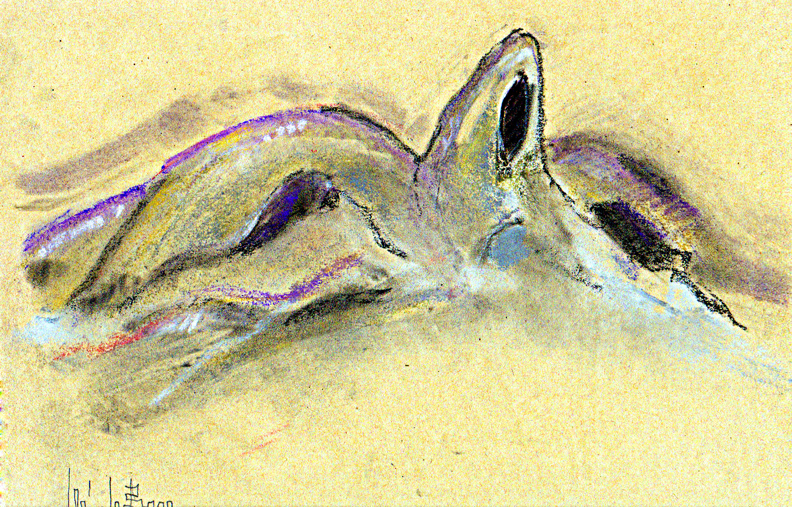 portfolio-image