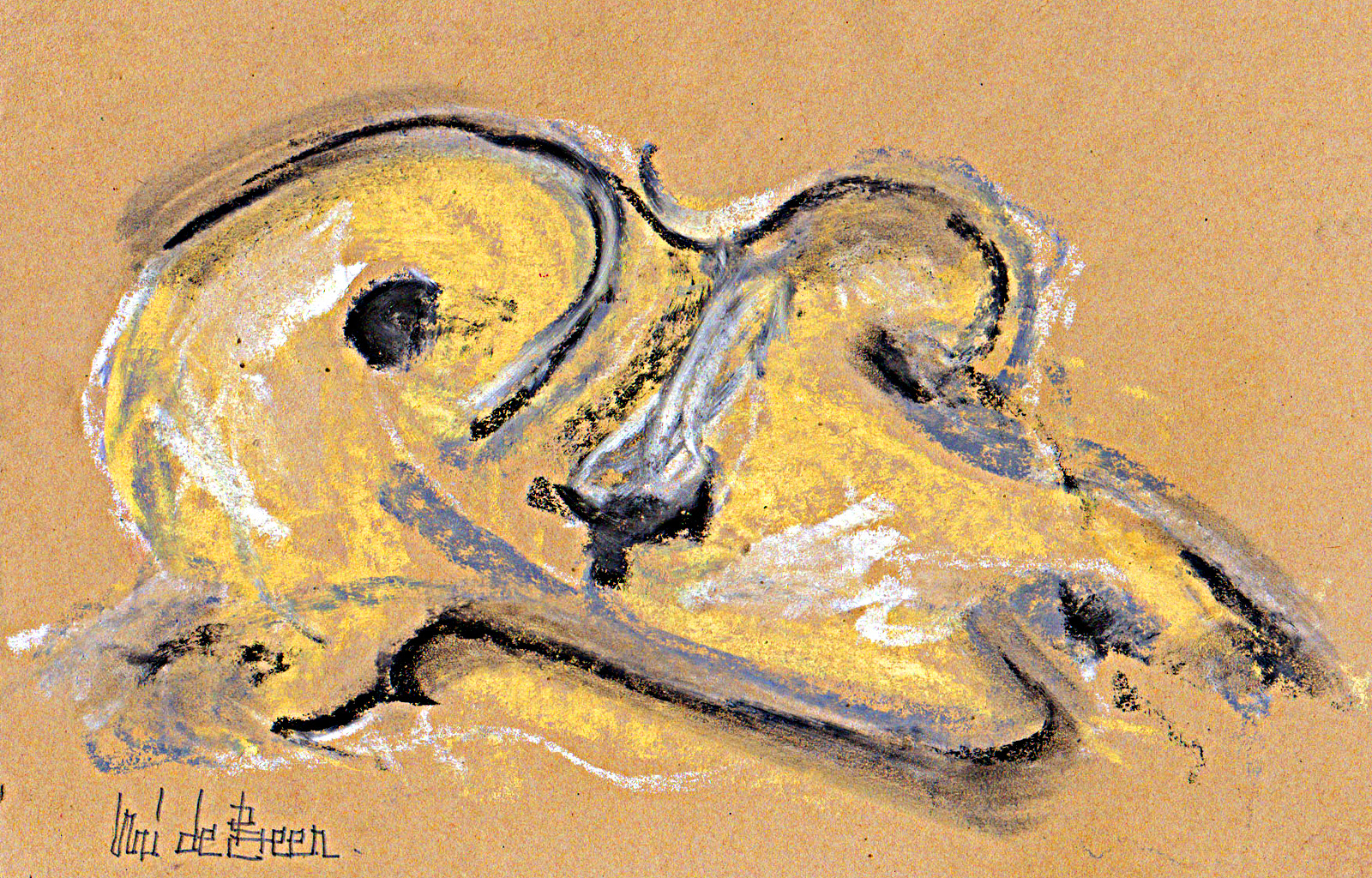 portfolio-image