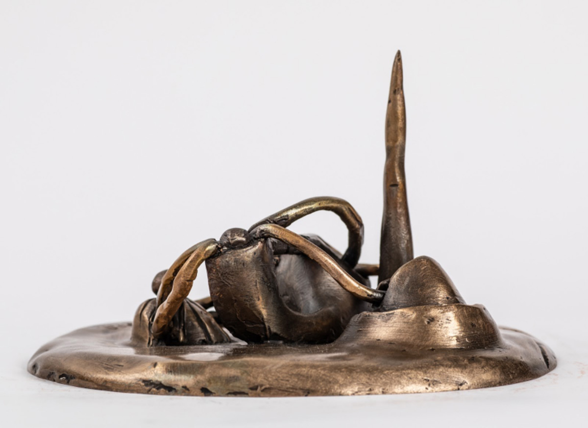 portfolio-image